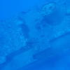 Picture taken during the dive