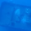Picture taken during the dive