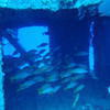 Picture taken during the dive