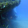Picture taken during the dive
