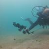 Picture taken during the dive