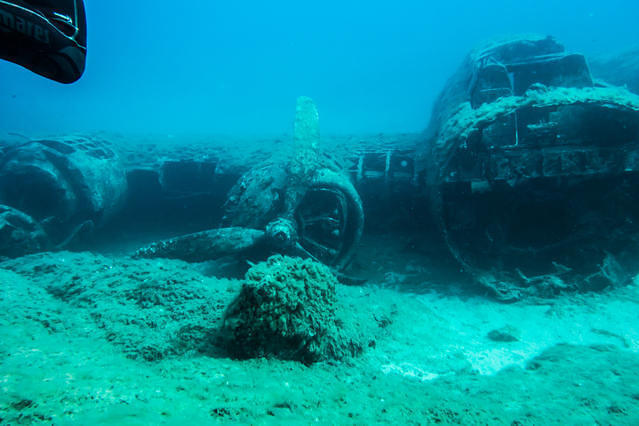 Beluga Diving - Dive Center in France