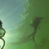Picture taken during the dive