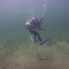 Picture taken during the dive
