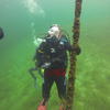 Picture taken during the dive