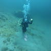 Picture taken during the dive