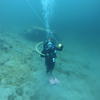 Picture taken during the dive