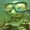 Picture taken during the dive