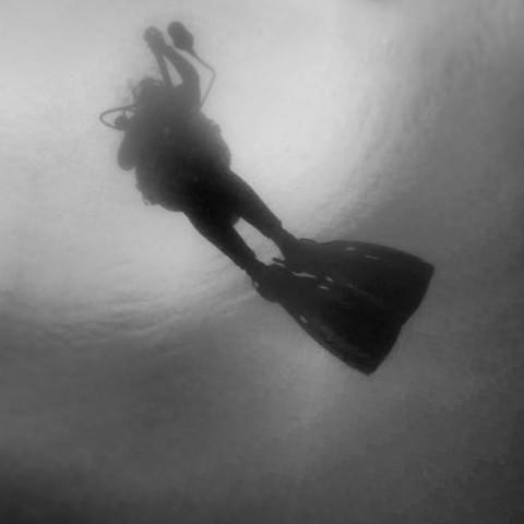 Paradise Divers - Dive Center in United States