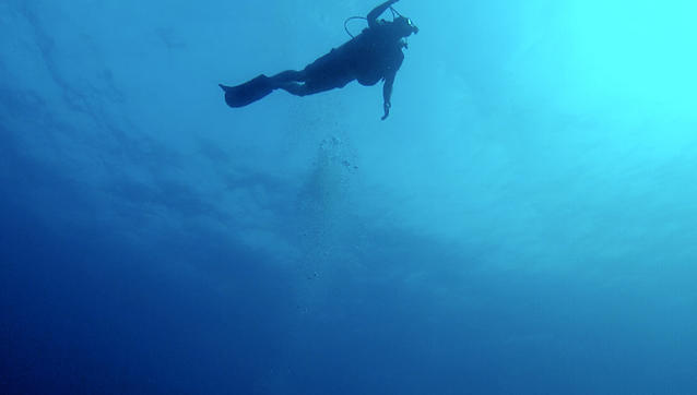Diving in Îles Caïmans, Grand Cayman - By Alf