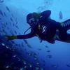 Picture taken during the dive