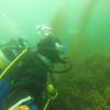 Picture taken during the dive