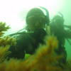 Picture taken during the dive