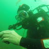 Picture taken during the dive