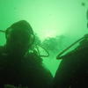 Picture taken during the dive