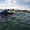 Picture taken during the dive
