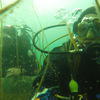 Picture taken during the dive