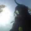 Picture taken during the dive