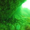 Picture taken during the dive