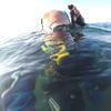 Picture taken during the dive