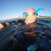 Picture taken during the dive