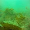 Picture taken during the dive