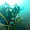 Picture taken during the dive