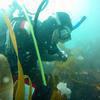 Picture taken during the dive
