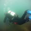 Picture taken during the dive