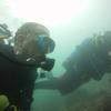 Picture taken during the dive