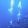Picture taken during the dive