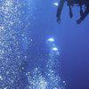 Picture taken during the dive