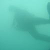Picture taken during the dive