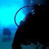 Picture taken during the dive