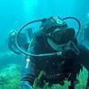 Picture taken during the dive