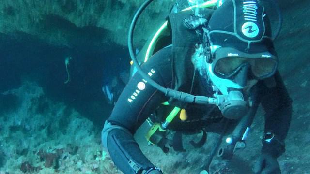 Starfish Diving Co Ltd - Dive Center