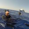 Picture taken during the dive