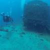 Picture taken during the dive