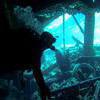 Picture taken during the dive