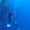 Picture taken during the dive