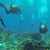 Picture taken during the dive