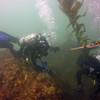Picture taken during the dive