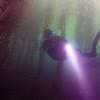 Picture taken during the dive