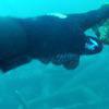 Picture taken during the dive