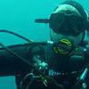 Picture taken during the dive
