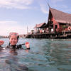 Picture taken during the dive
