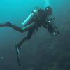 Picture taken during the dive