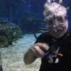 Picture taken during the dive