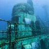 Picture taken during the dive