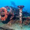 Picture taken during the dive
